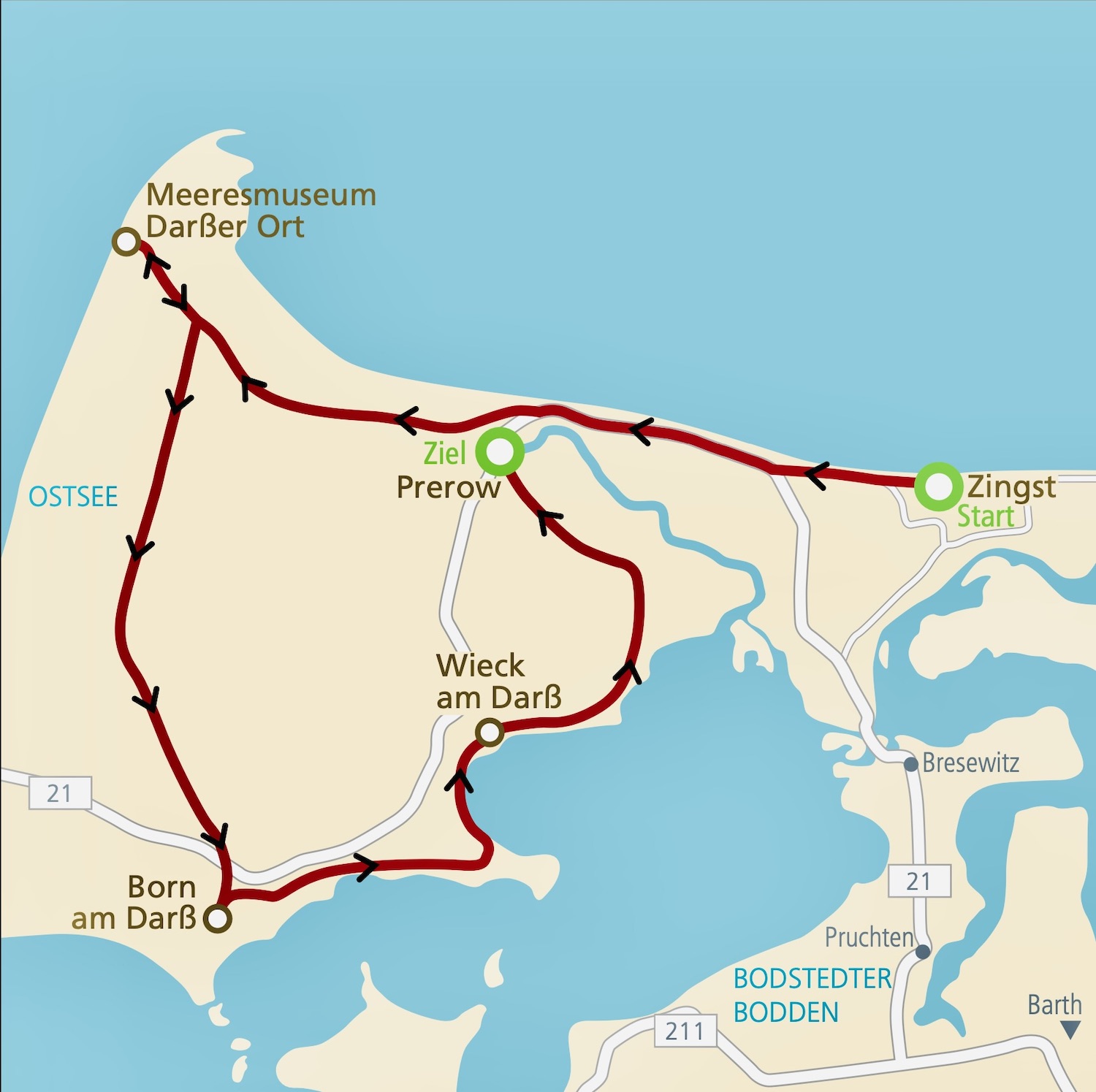 Unsere Radtour über den Darß. Grafik: Nordkurier