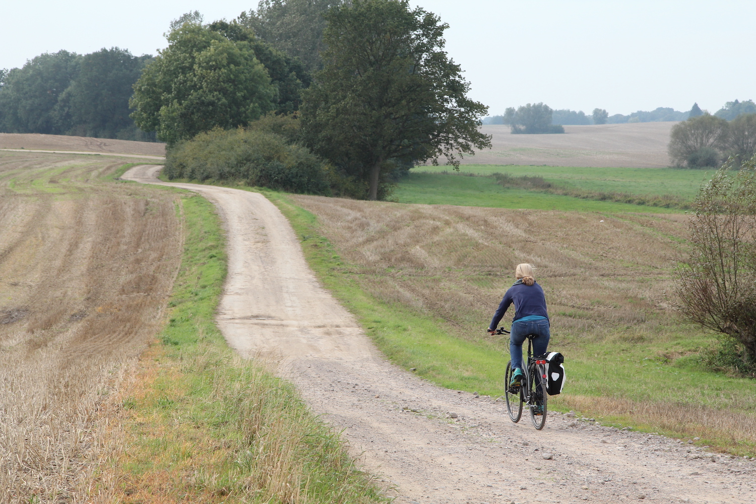 Eine abwechslungsreiche Radtour durch den Klützer Winkel: Nach der Abfahrt wartet schon die nächste Steigung. Foto: Marlis Tautz