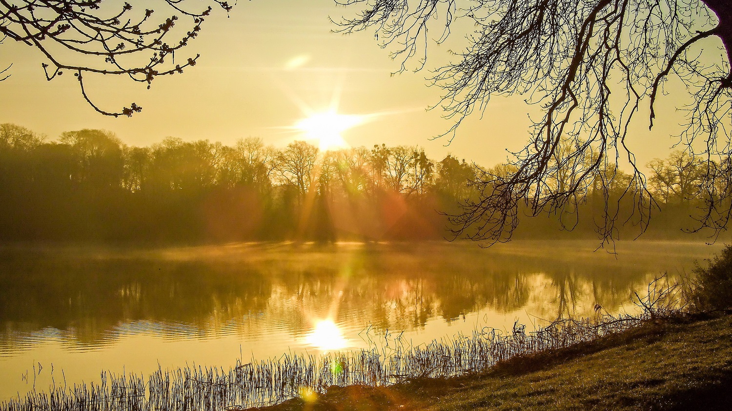 Blick auf einen See in Mecklenburg-Vorpommern kurz nach dem Sonnenaufgang. Auch das Licht ist im Herbst in MV ein besonderes.  © Andre - stock.adobe.com